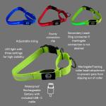Light-Up Adjustable Martingale Dog Collar - Green