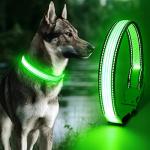Adjustable LED Light-Up Dog Collar - Green