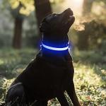 BSEEN Rechargeable LED Light Up Dog Collar