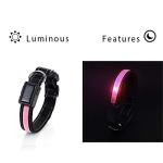 Avaner Reflective LED Light-Up Dog Collar