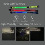 Light-Up Adjustable Martingale Dog Collar - Green