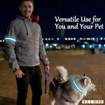 LED Dog Collar 2-Pack for Night Safety