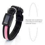 Avaner Reflective LED Light-Up Dog Collar