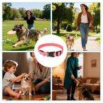 LED Reflective Dog Collar - Light-Up Safety Strap