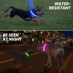 LED Light Up Dog Collar - Rechargeable Glow Pink