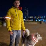 2-Pack Red LED Dog Collars for Safety