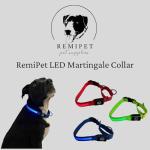 Light-Up Adjustable Martingale Dog Collar - Green