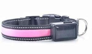 USB & Solar LED Reflective Dog Collar - Pink