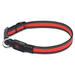 Glow in the Dark Rechargeable LED Dog Collar