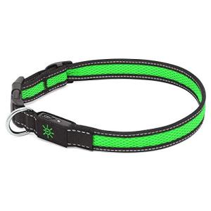 Bright LED Dog Collar with USB Rechargeable Nylon