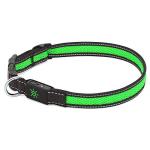 Bright LED Dog Collar with USB Rechargeable Nylon