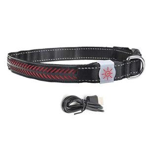 Rechargeable LED Safety Collar for Dogs and Cats