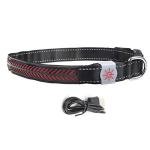 Rechargeable LED Safety Collar for Dogs and Cats