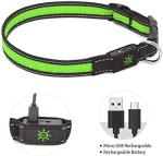 Bright LED Dog Collar with USB Rechargeable Nylon