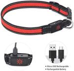 Glow in the Dark Rechargeable LED Dog Collar