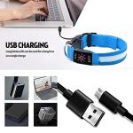 USB Rechargeable LED Reflective Dog Collar - Blue