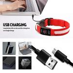 USB Rechargeable LED Dog Collar - Waterproof & Reflective