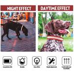 USB Rechargeable LED Dog Collar - Waterproof & Reflective