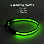 Bright LED Dog Collar with USB Rechargeable Nylon