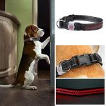 Rechargeable LED Safety Collar for Dogs and Cats