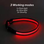 Glow in the Dark Rechargeable LED Dog Collar