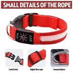 Rechargeable LED Dog Collar - Waterproof & Reflective