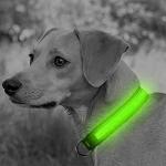 Bright LED Dog Collar with USB Rechargeable Nylon