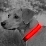Glow in the Dark Rechargeable LED Dog Collar