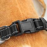 Rechargeable LED Safety Collar for Dogs and Cats