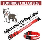 Rechargeable LED Dog Collar - Waterproof & Reflective