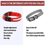 Rechargeable LED Dog Collar - Waterproof & Reflective