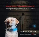 USB & Solar LED Reflective Dog Collar - Pink