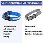 USB Rechargeable LED Reflective Dog Collar - Blue