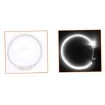 LED Dog Collar Light - Rechargeable & Reflective