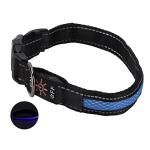 Rechargeable Light Up Collars for Cats and Dogs