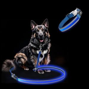 Blue Reflective LED Dog Collar and Leash Set