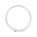 LED Dog Collar Light - Rechargeable & Reflective