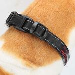 Rechargeable LED Safety Collar for Dogs and Cats