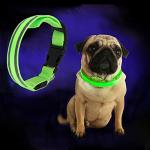 USB Rechargeable LED Dog Collar - Adjustable Green