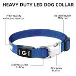 Blue Reflective LED Dog Collar and Leash Set