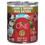 Purina ONE Tender Cuts Wet Dog Food - Lamb & Rice