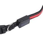 Gavigain Rechargeable LED Dog Collar, Reflective, Adjustable