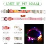 Rechargeable LED Reflective Dog Collar - Large Green
