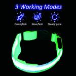 USB Rechargeable LED Dog Collar - Adjustable Green