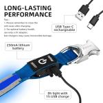 Blue Reflective LED Dog Collar and Leash Set