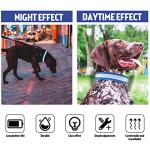 USB Rechargeable LED Reflective Dog Collar (Blue, M)