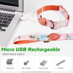 Rechargeable LED Reflective Dog Collar - Large Green