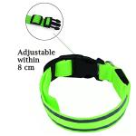 USB Rechargeable LED Dog Collar - Adjustable Green