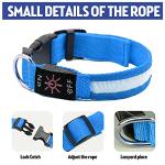 USB Rechargeable LED Reflective Dog Collar (Blue, M)