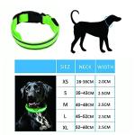 USB Rechargeable LED Dog Collar - Adjustable Green